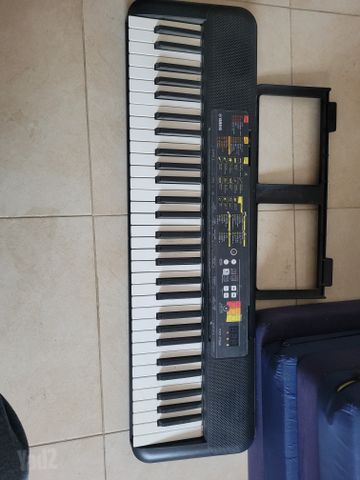 אורגנית yamaha