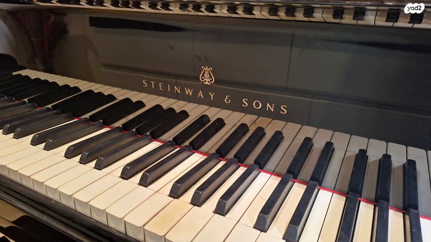 Steinway D hamburg פסנתר כנף