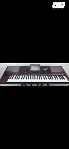 אורגן קורג korg pa1000