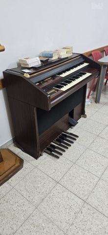 אורגן