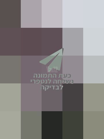 עגלת תאומים
