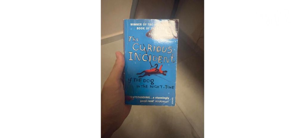 The Curious Incident - Haddon