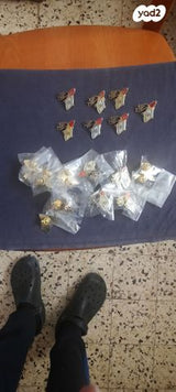 סיכות דש
