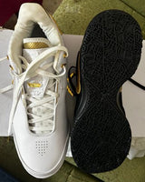 Nike LeBron NXXT Gen FJ1566103