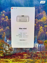Mac Mini M4