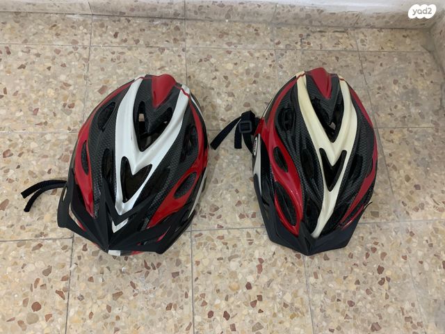 קסדה לאפניים