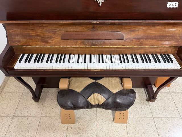 מוסיקה