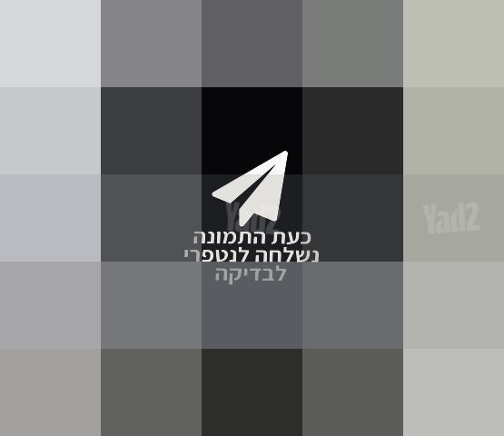 עגלת תאומים mountain buggy