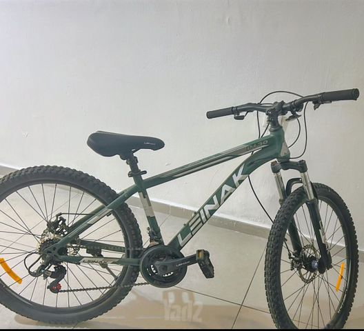 אופני LEINAK LT30