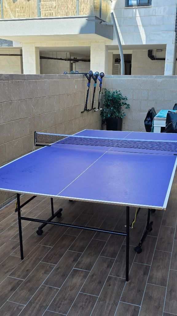 טניס שולחן