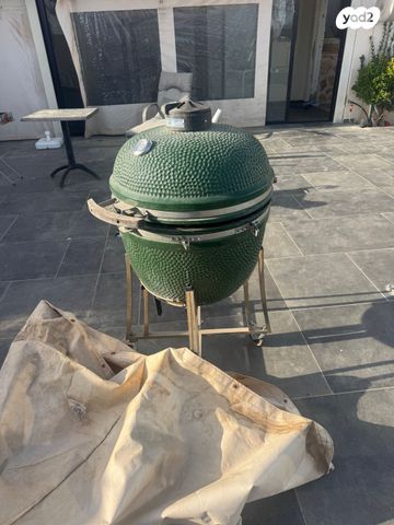 גריל Big Green Egg Large