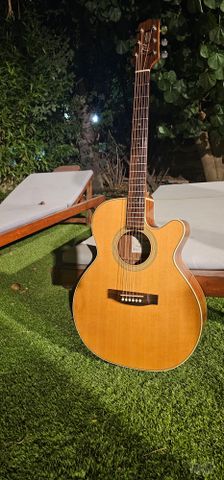 Takamine d51c