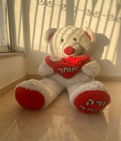 דובי גדול