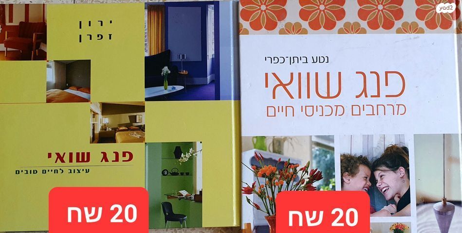 פנג שוואי , ספרים