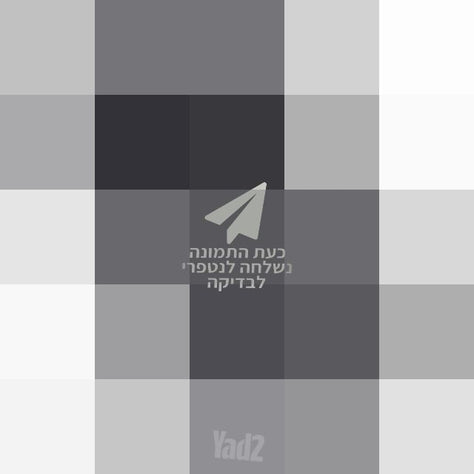 עגלה לתאומים