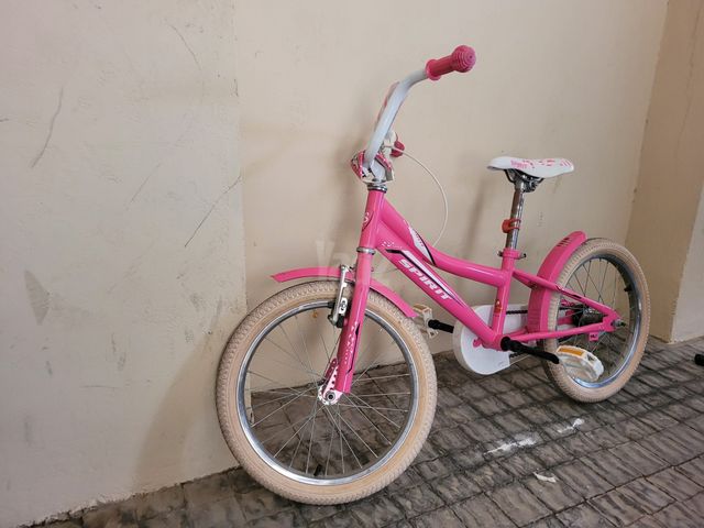 אופני ילדים
