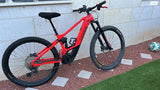 Orbea wild 2021