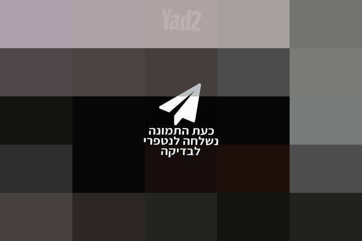כינור