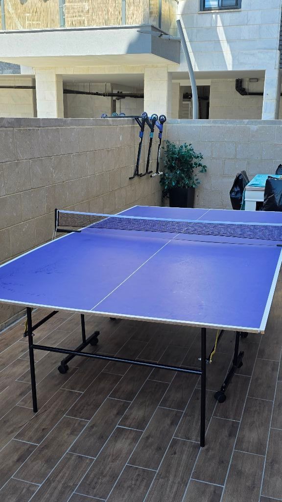 טניס שולחן