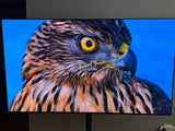 טלויזיה LG OLED 55