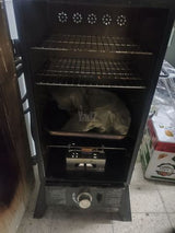 מעשנת גז