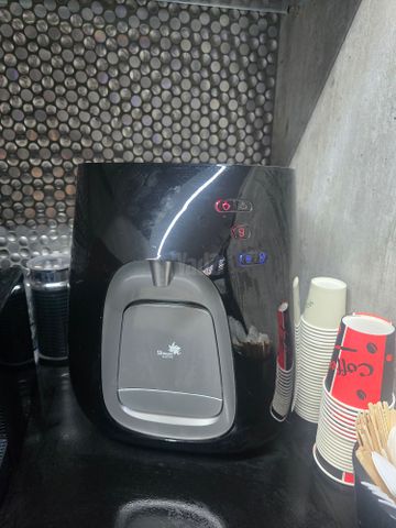 תמי 4 פרימו