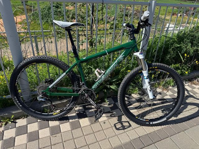Santa Cruz Chameleon