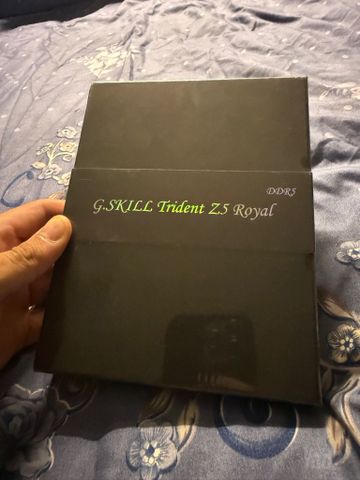32 GB G.skill trident royal