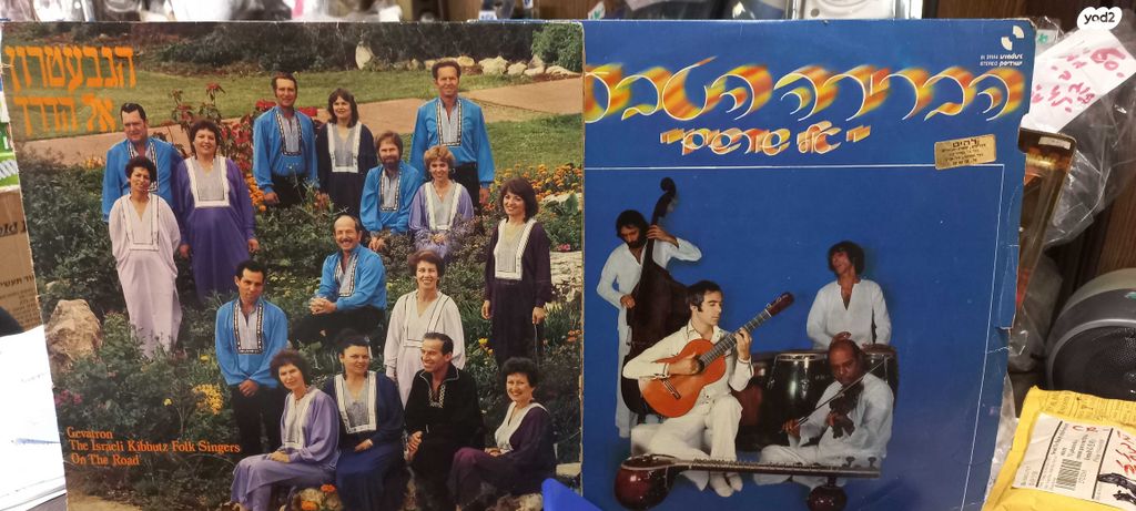 תקליטי ויניל