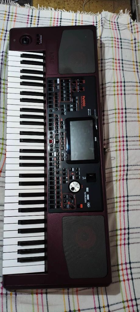 Korg pa1000