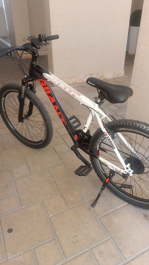 אופני הרים Giant