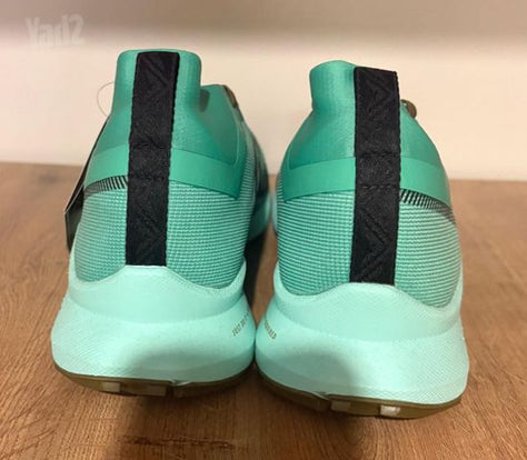 Nike Pegasus Trail 4 GORE-TEX