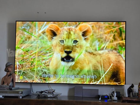 טלוויזיה lg oled 65