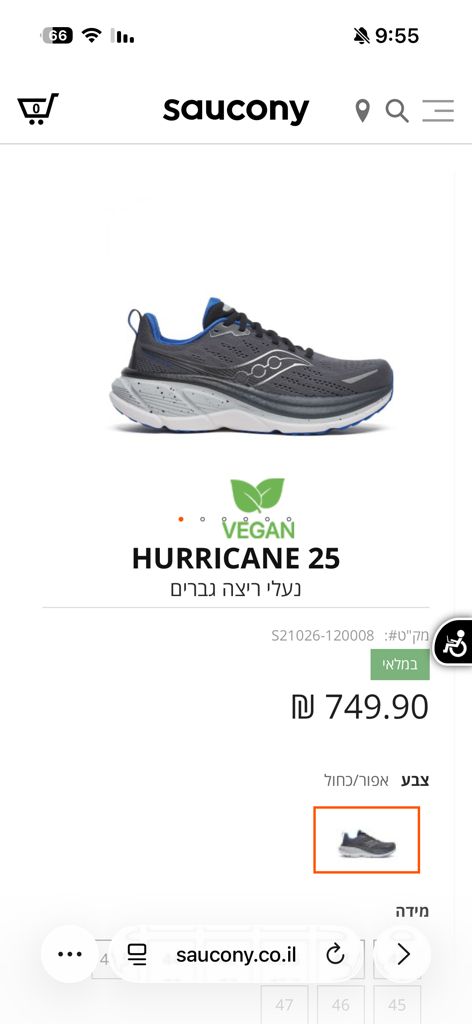 Saucony hurricane 25
