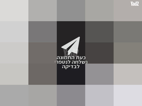 סלקל joie