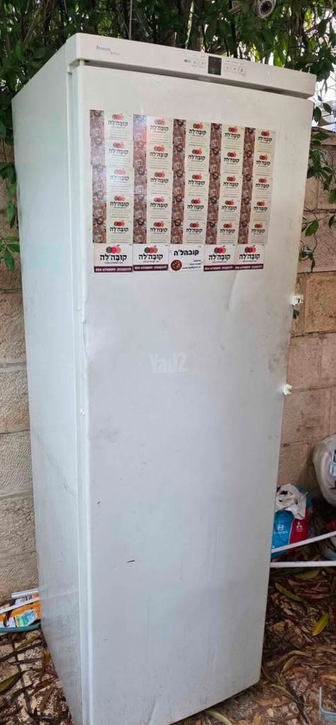 מקפיא ליבהר