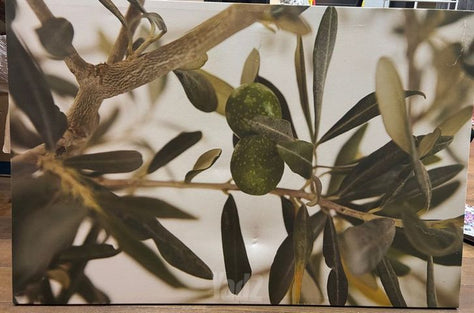 ציור