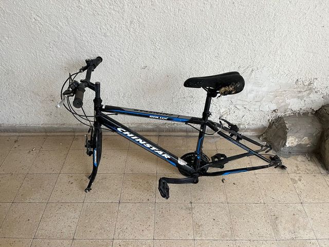 שילדת אופניים 24