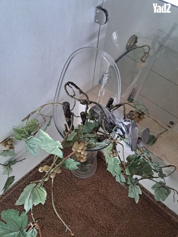 עציץ זכוכית