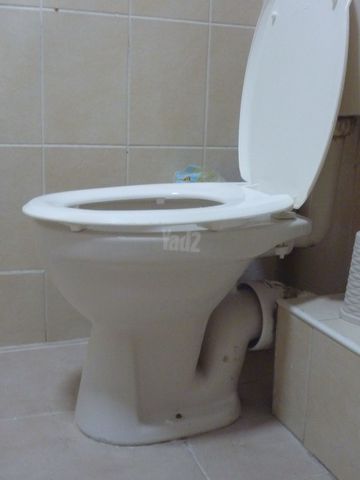 אסלה