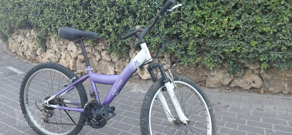 אופניים הרים 24"
