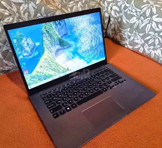 Asus expertbook