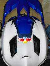 Troy Lee designed fullface