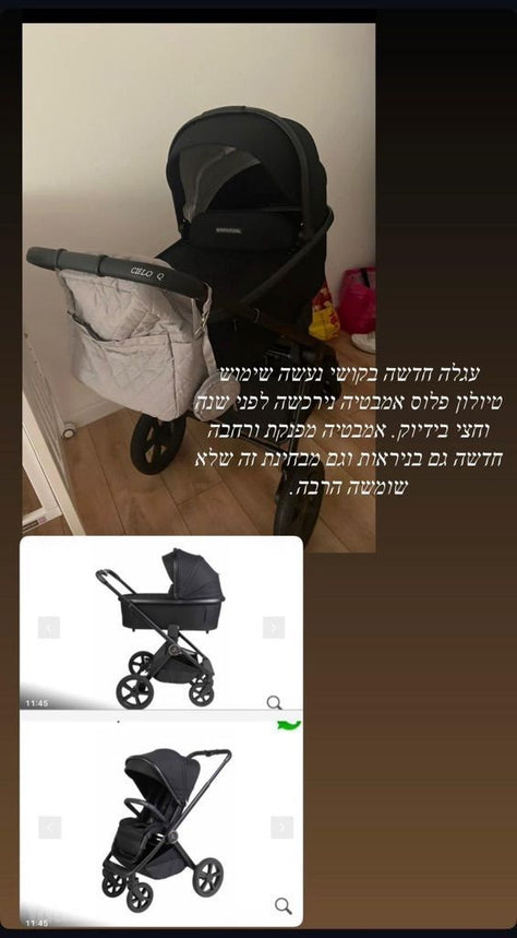 עגלת ספורט ליין Q