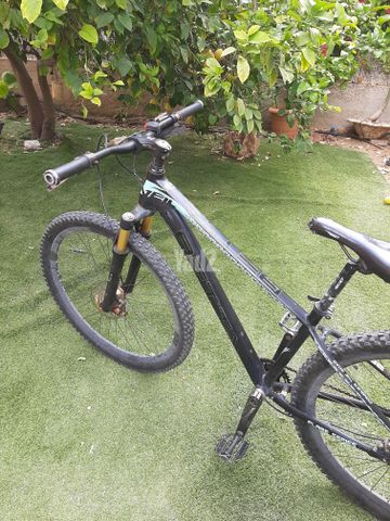 אופני הרים BETTA