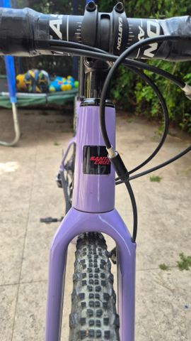 Santa Cruz Stigmata
