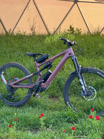Levo SL 2025