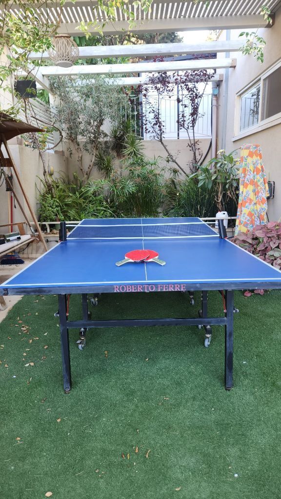שולחן פינגופנ
