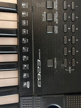 אורנית ימהה PSR e263