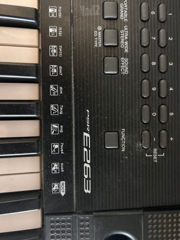 אורנית ימהה PSR e263
